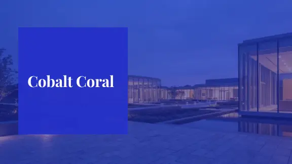 Cobalt Coral presentation design