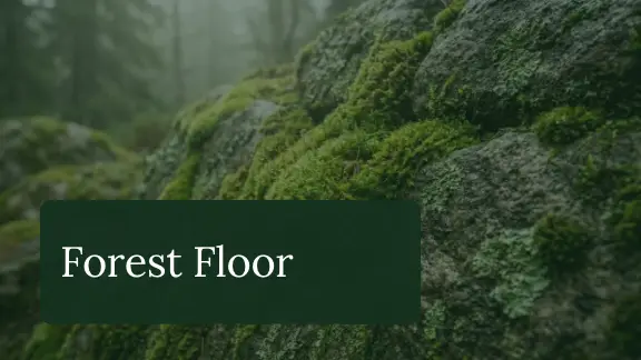Forest Floor presentation design