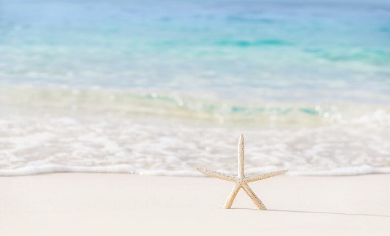 Beautiful beach background