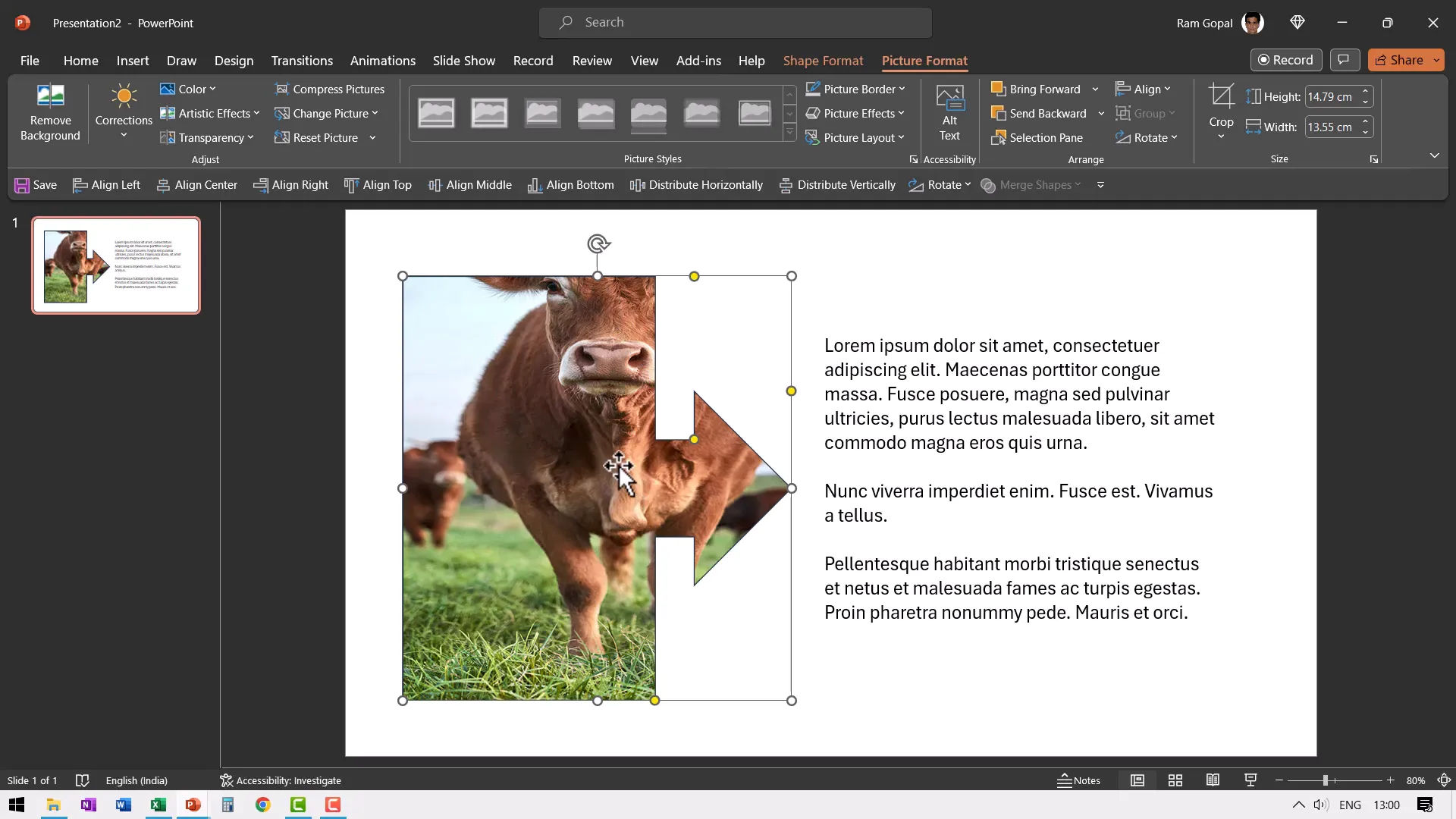 Distorted cow image inside shape due to automatic offsets