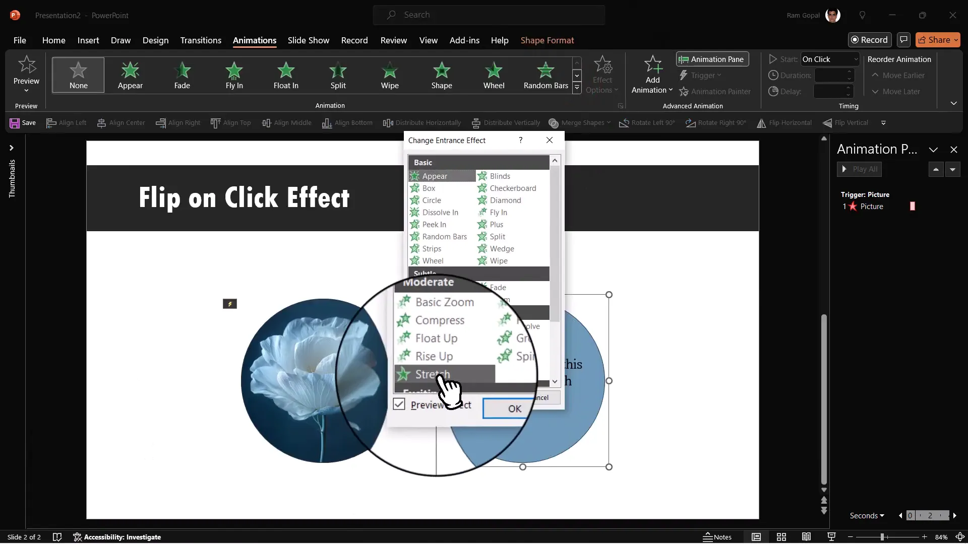 Applying stretch entrance animation on explanation with trigger on picture click