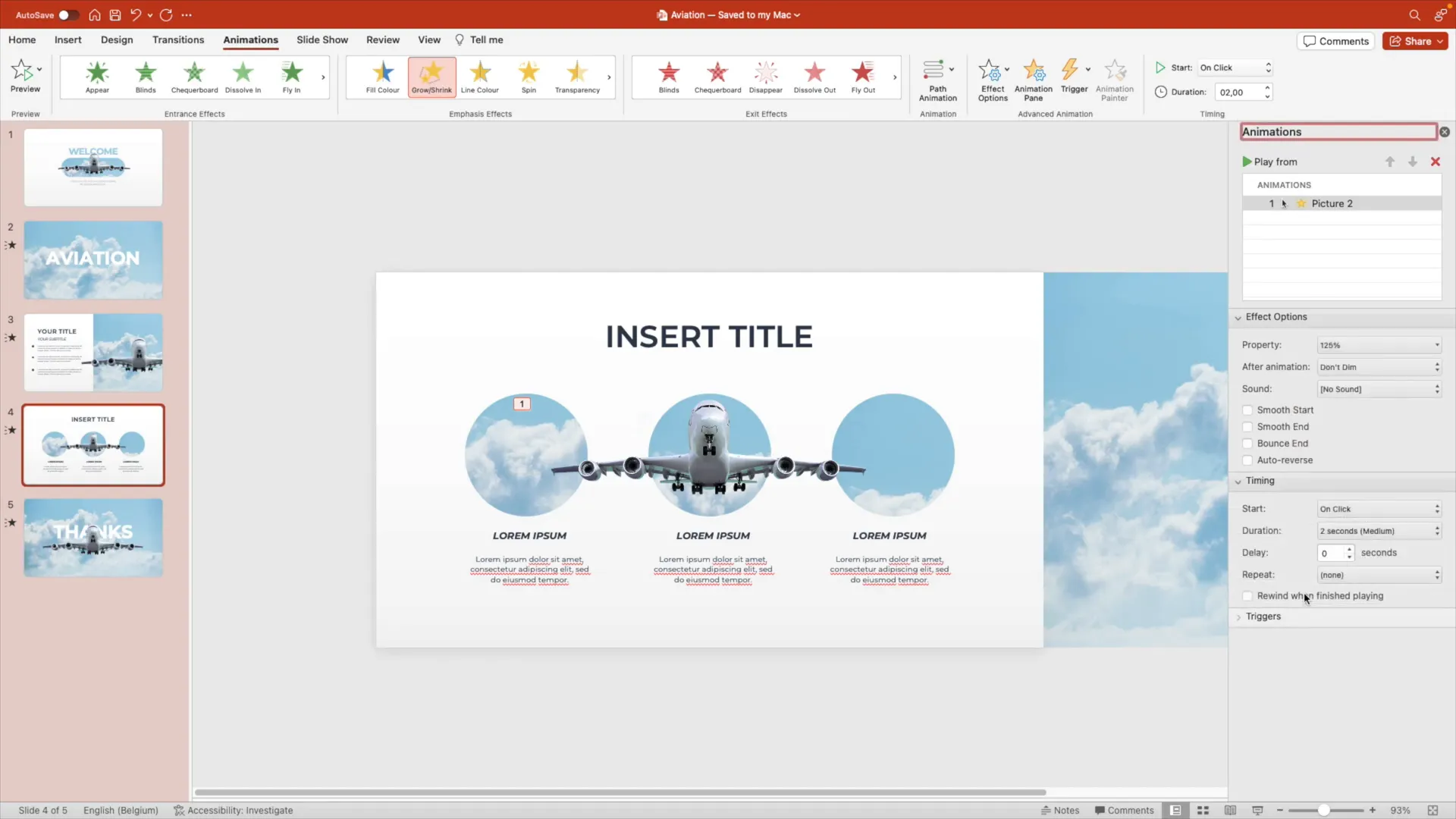 Animation pane showing grow and shrink effect settings