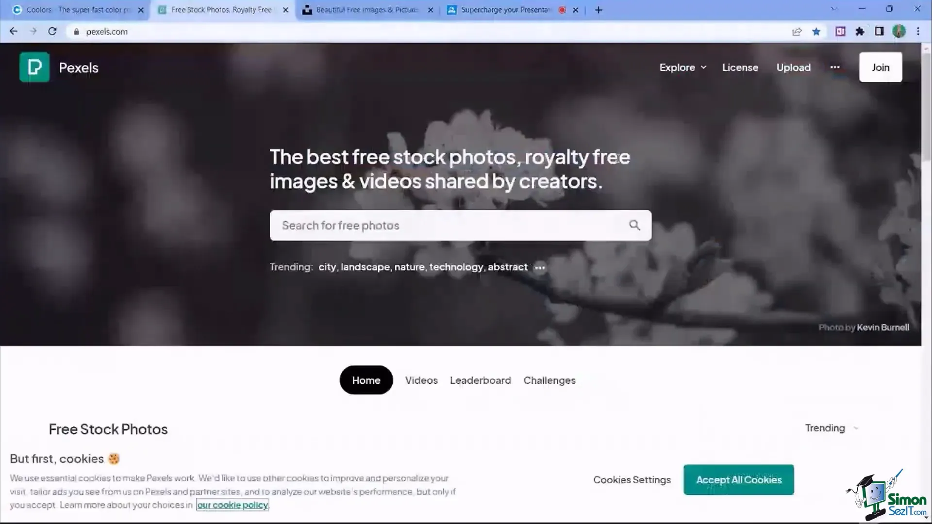 Using Pexels website to find free images