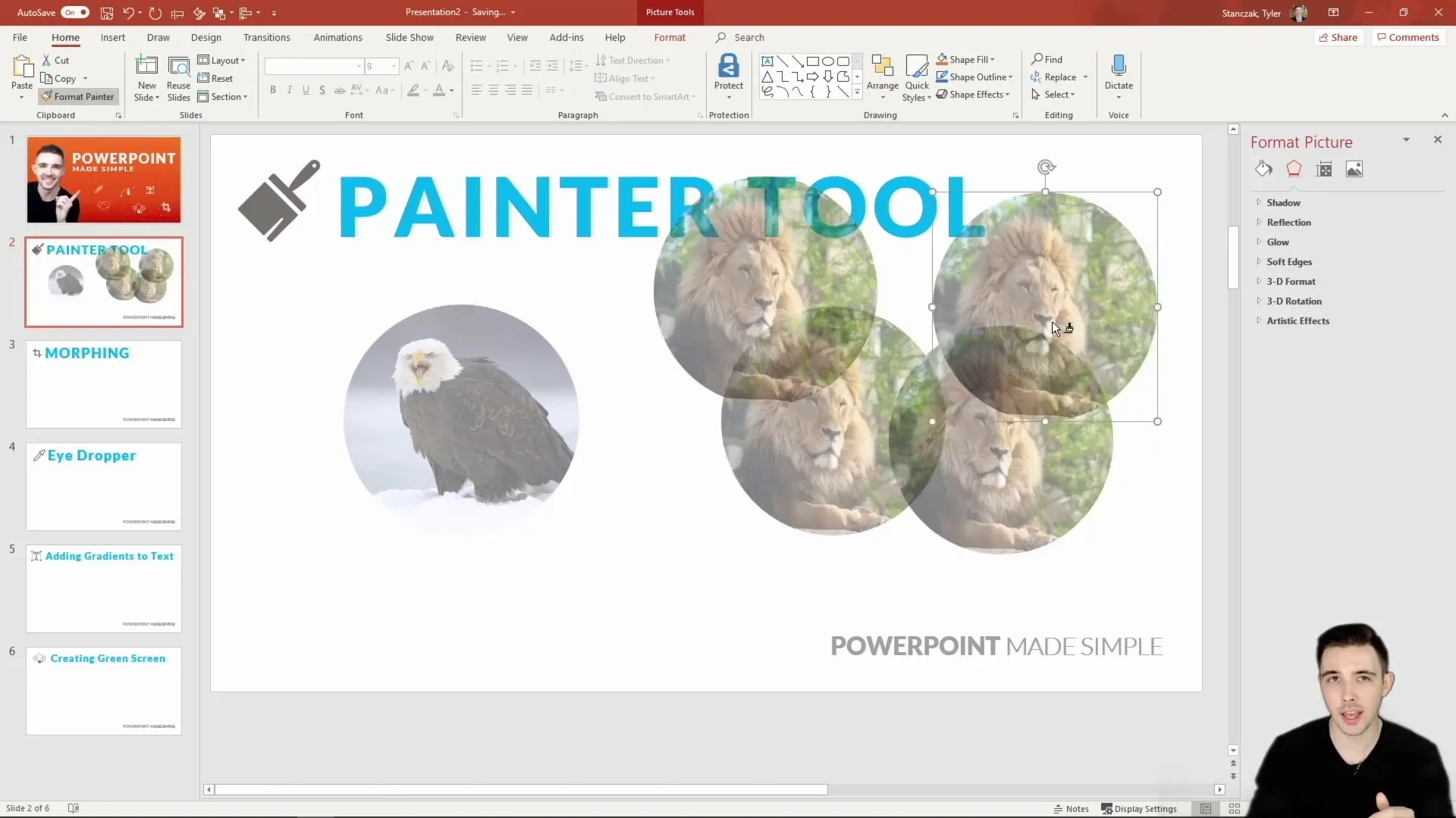 Using Format Painter to copy transparency across images