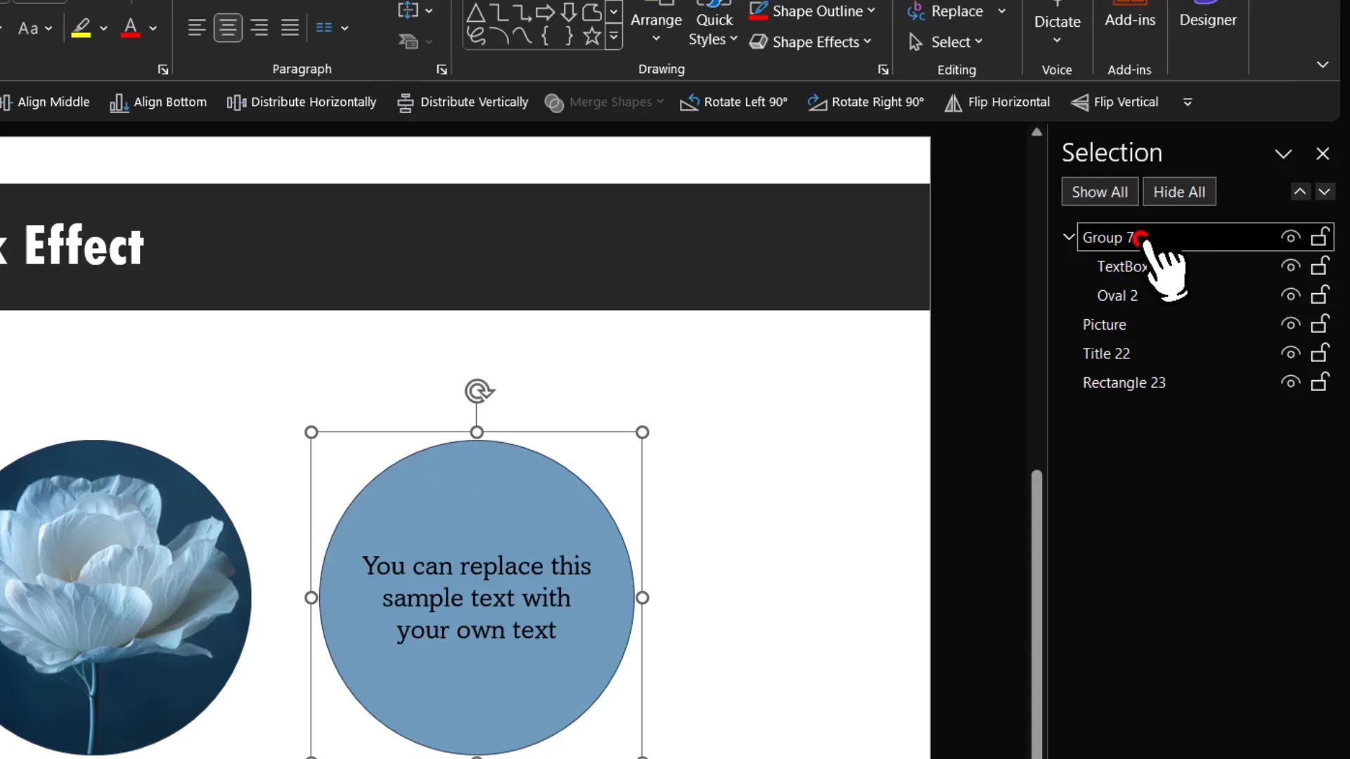 Renaming objects in the selection pane to Picture and Explanation