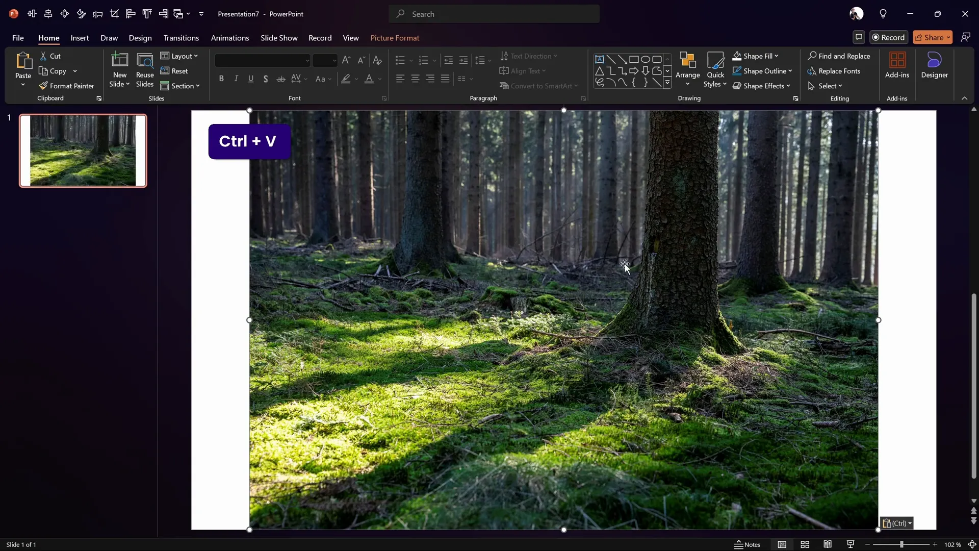 Pasting and cropping background photo in PowerPoint