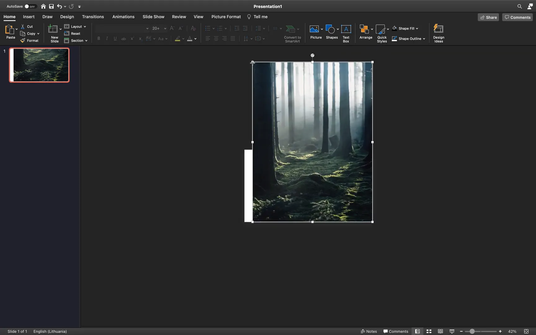 Background photo covering entire slide with crop tool adjustments