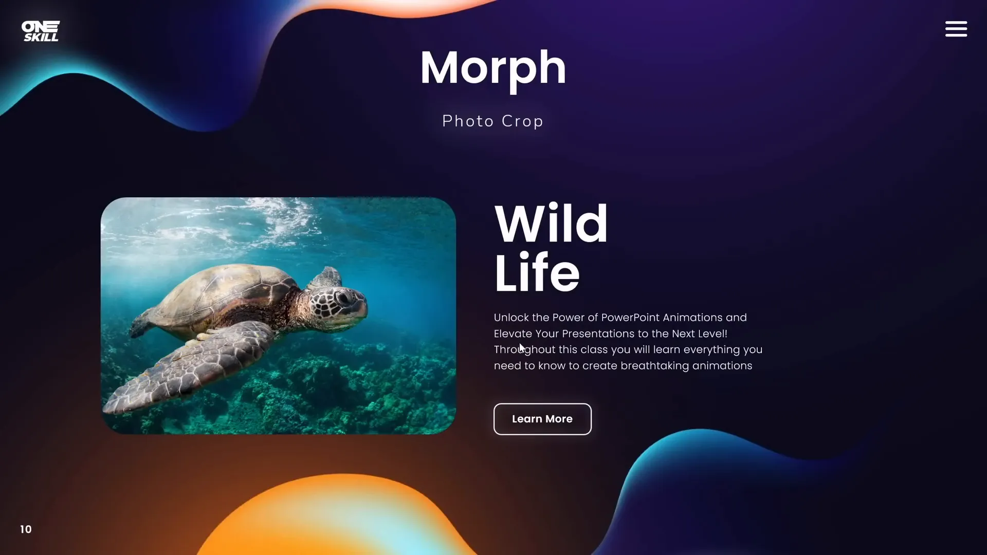 Photo crop effect with Morph transition