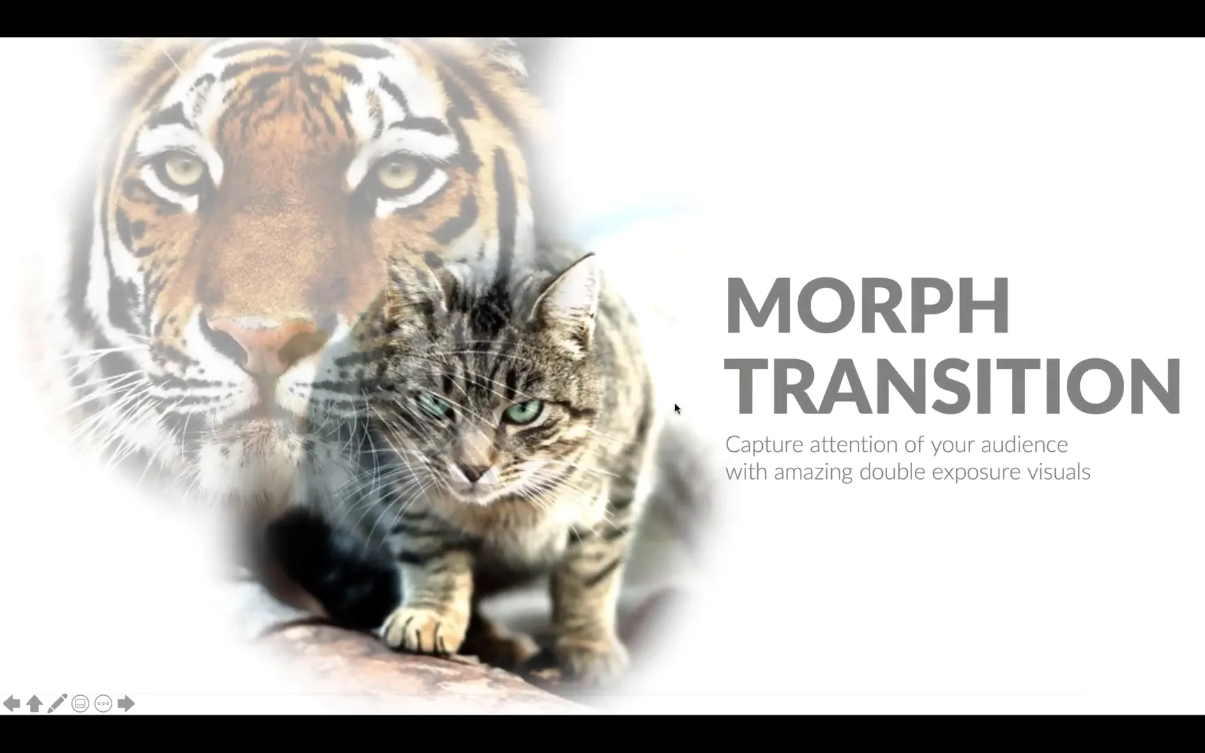 Morph transition morphing one photo into another in PowerPoint