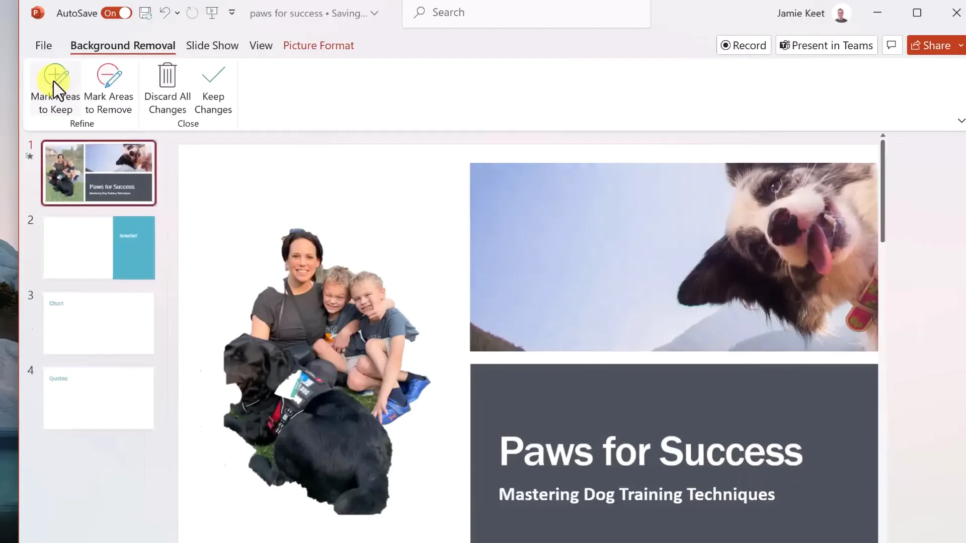 Removing background and applying effects to images in PowerPoint
