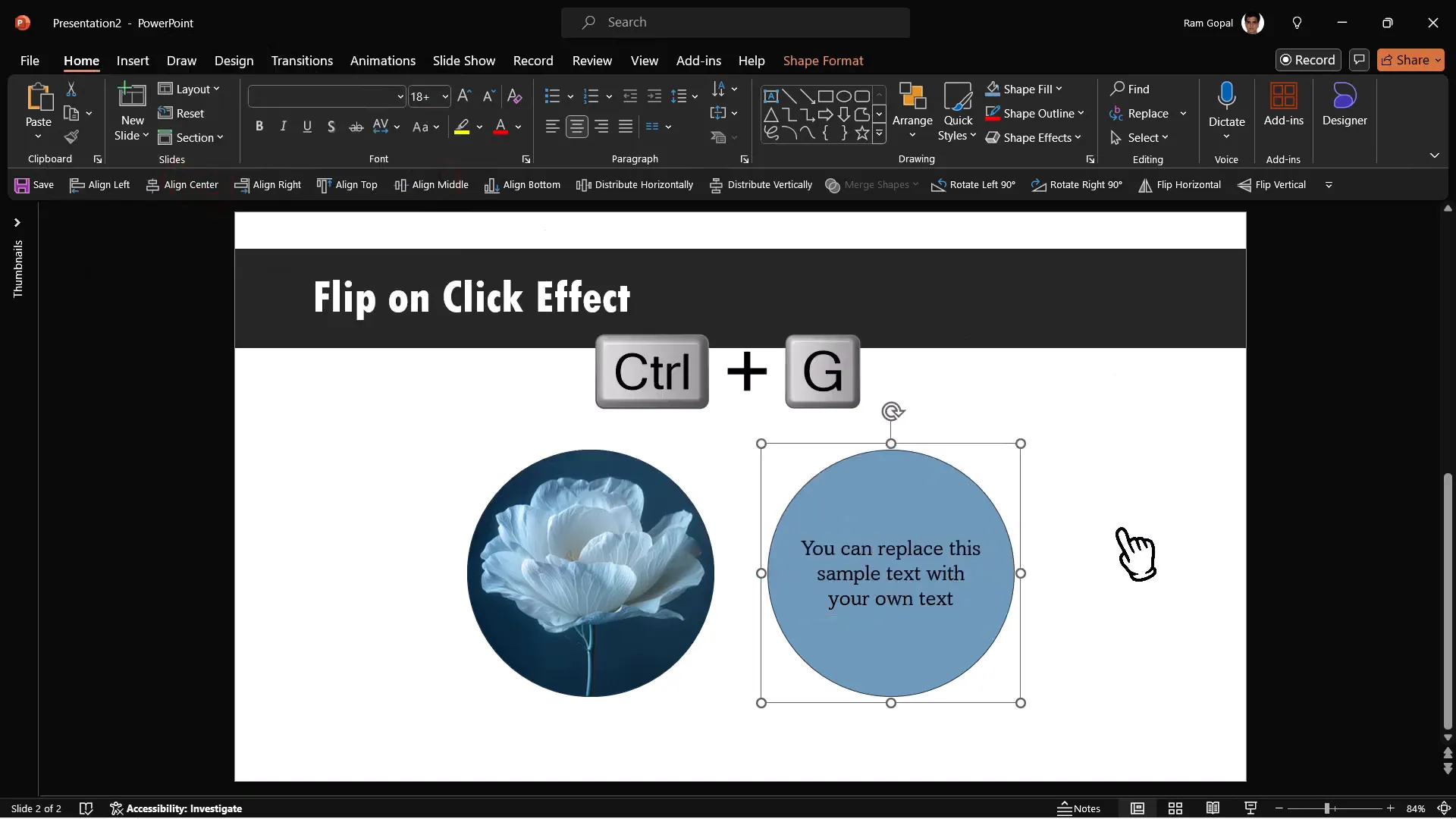 Grouping the explanation text box and colored oval for animation
