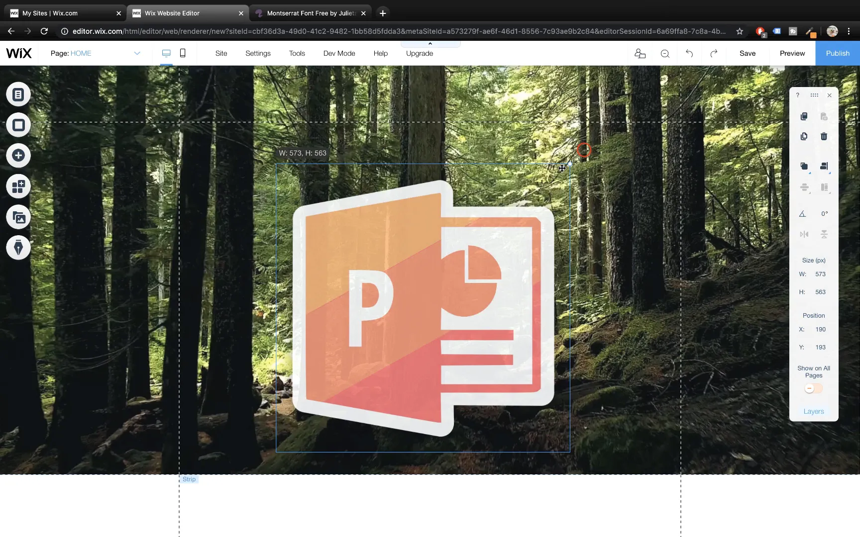 Inserting and resizing logo on Wix strip