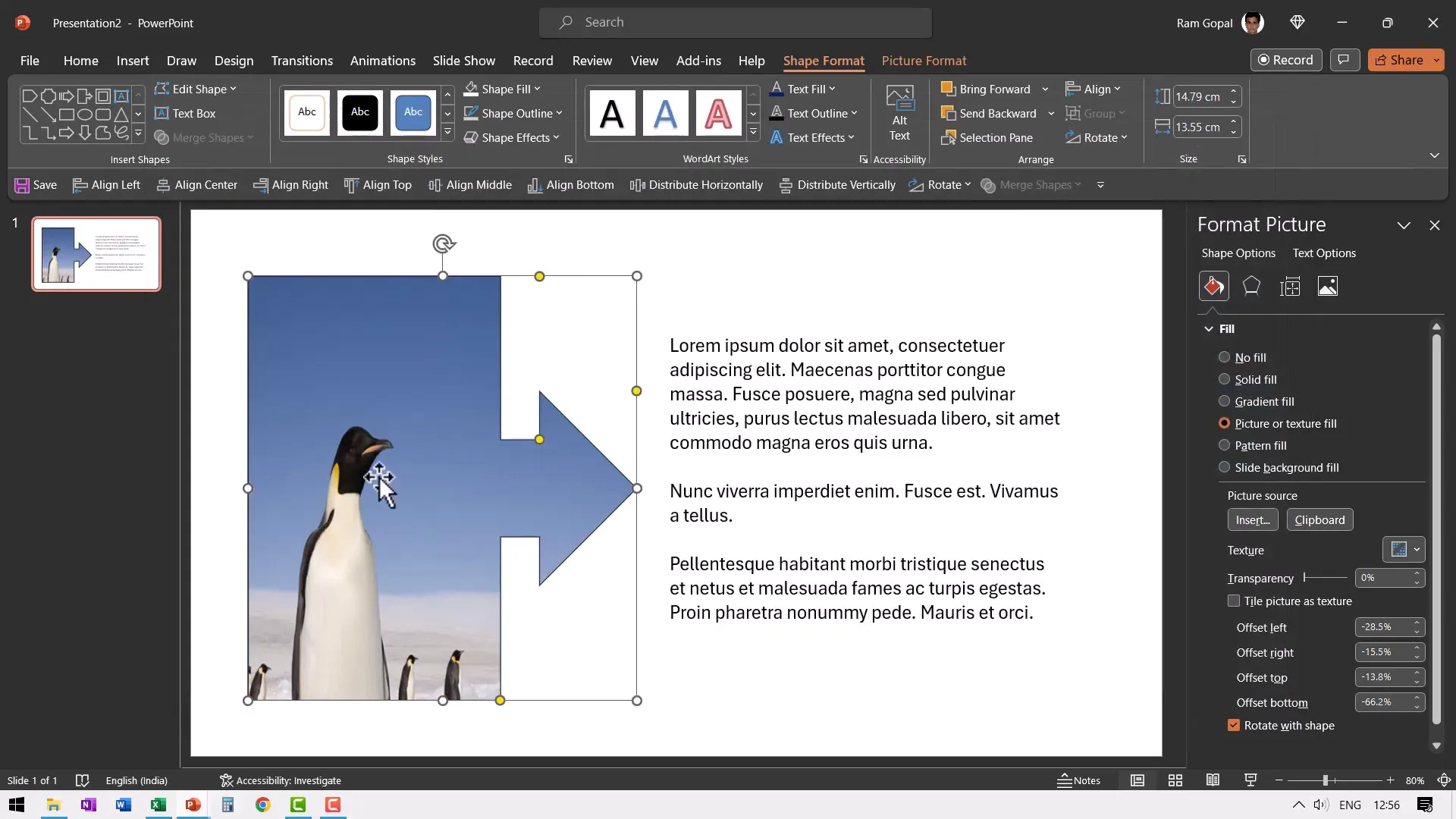 Filling shape with penguin image in PowerPoint