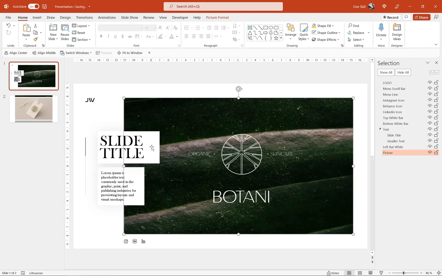 Replacing placeholder image and updating text boxes with portfolio content