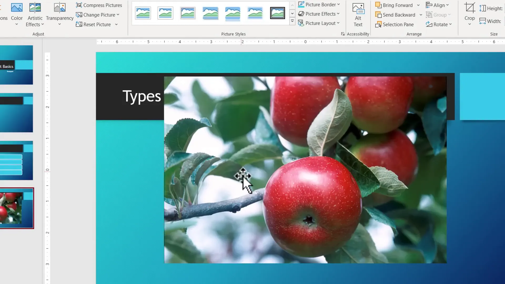 Inserting and resizing apple image in PowerPoint slide