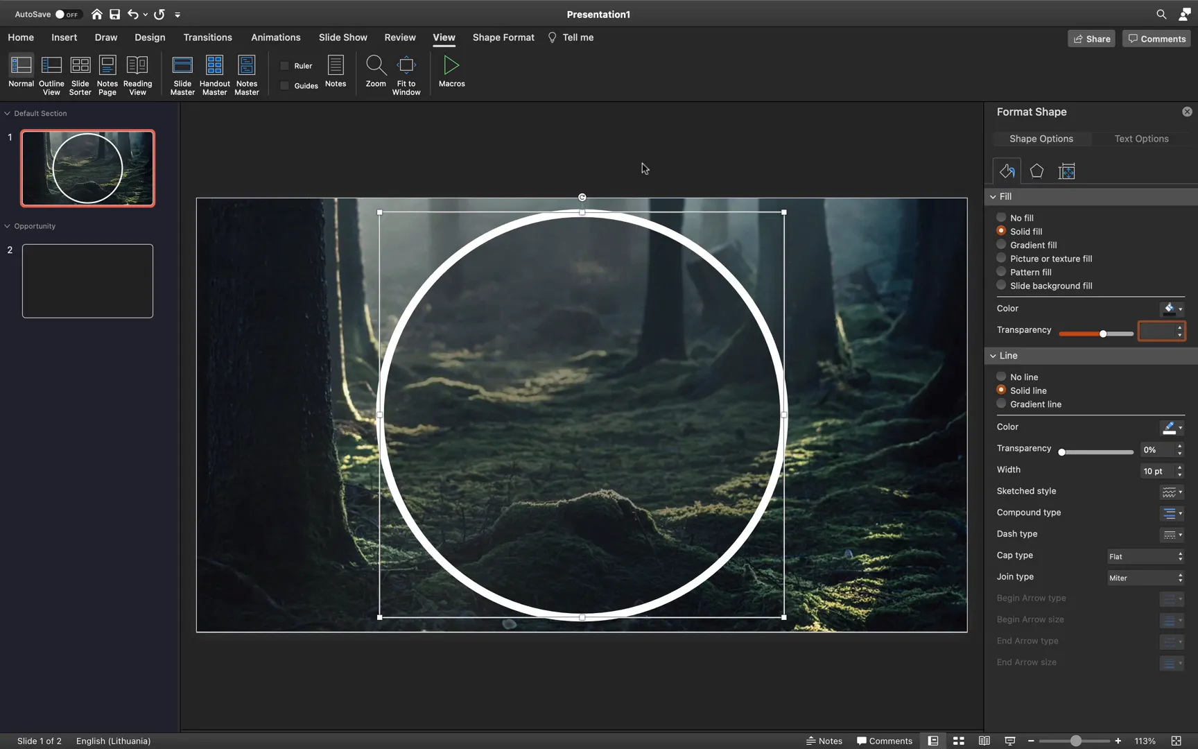 Creating and positioning circle shape with white outline and transparency