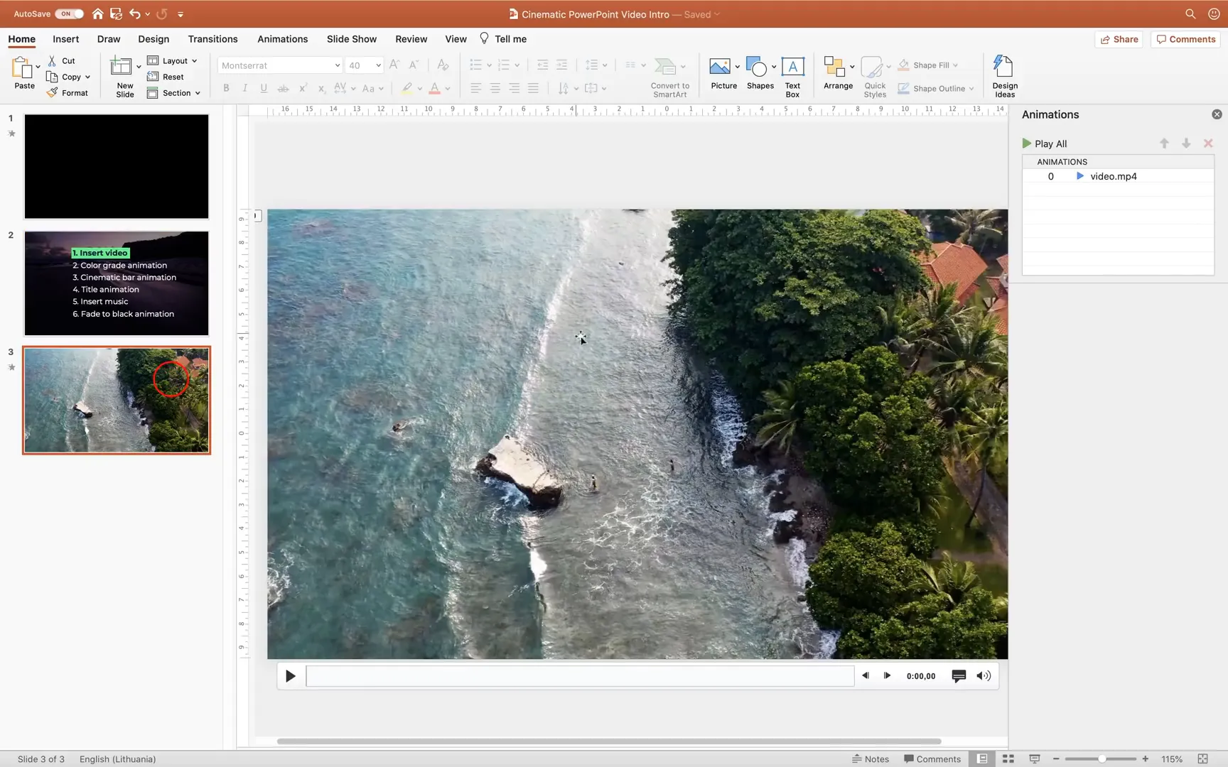 Video playing automatically with play animation