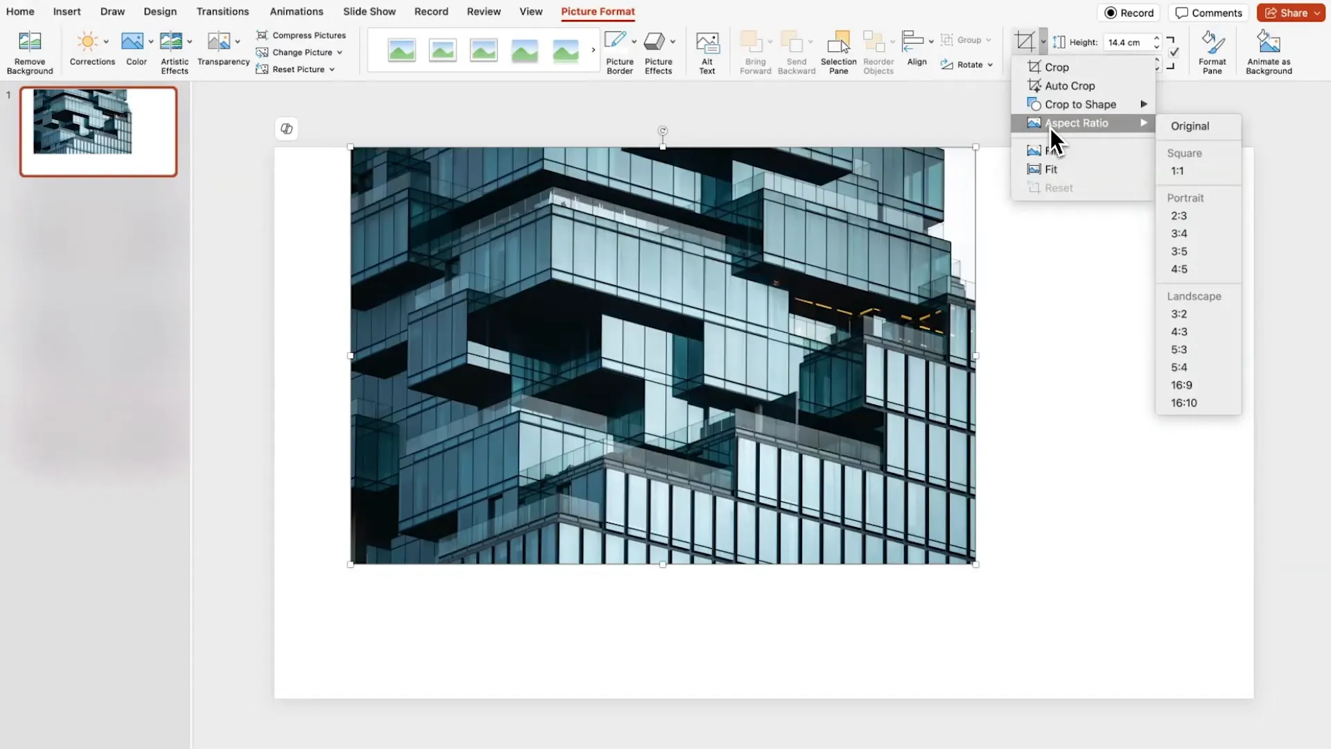 Final carousel presentation with morph transition applied