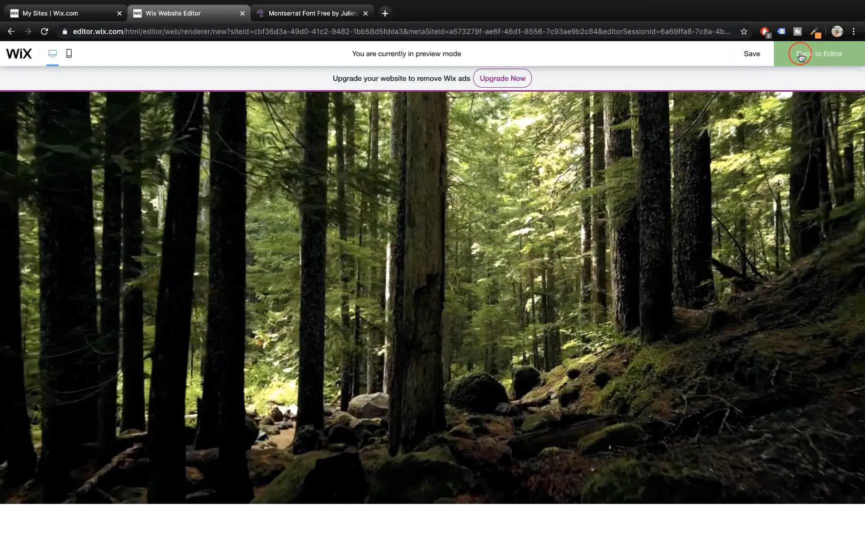 Video background preview on Wix site
