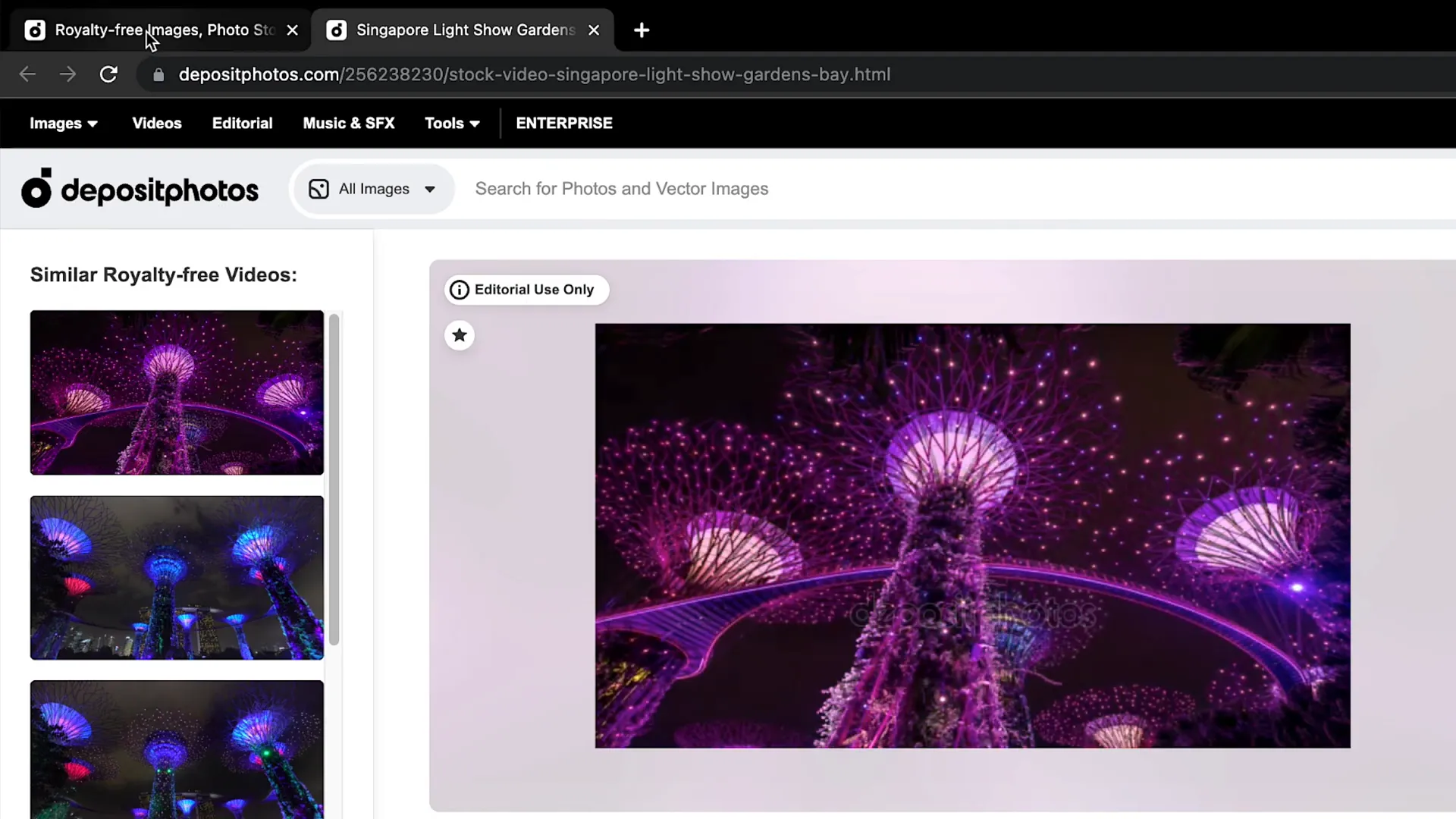 Singapore super trees night video from DepositPhotos
