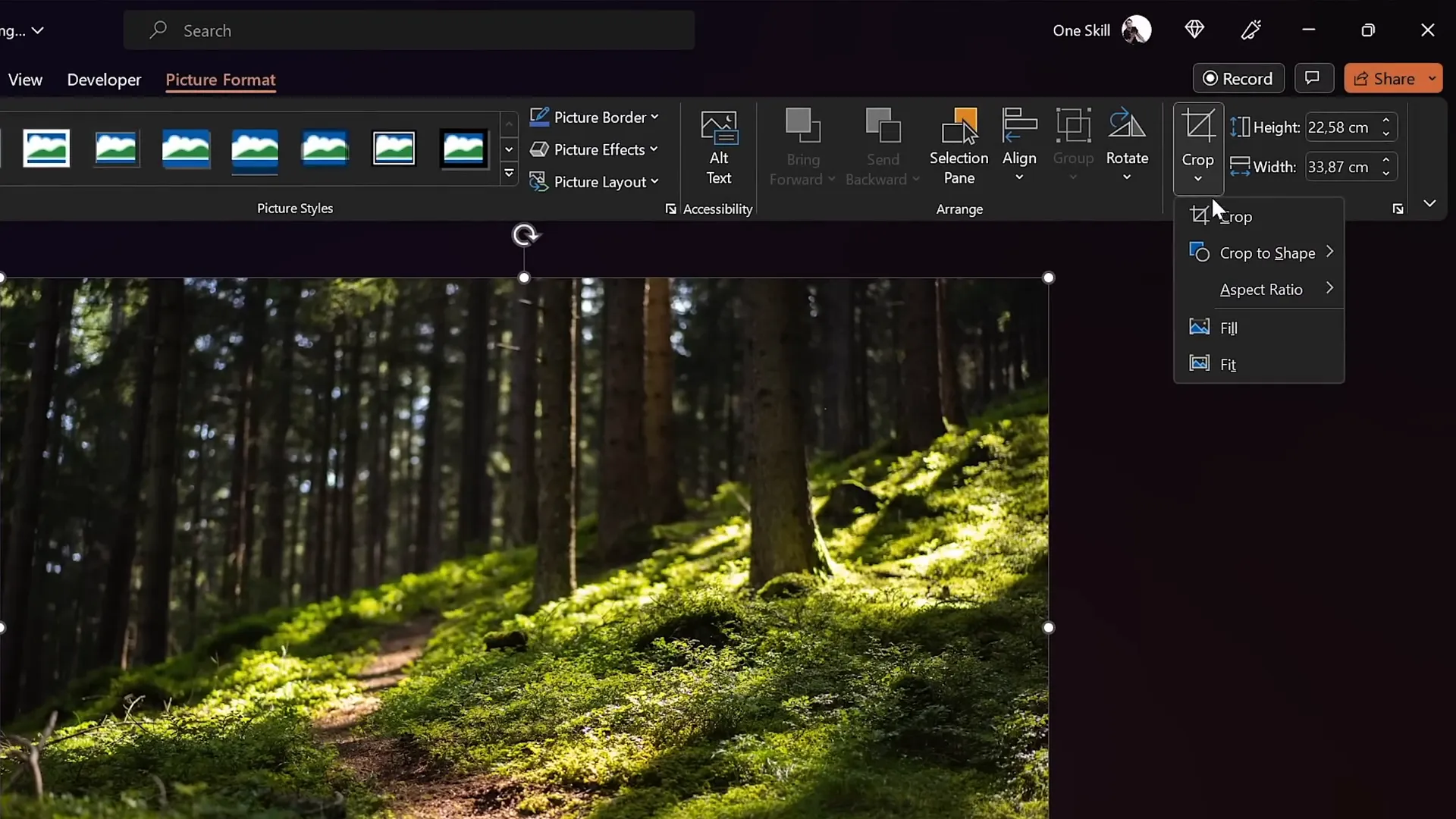 Inserting and resizing background photo to cover entire slide