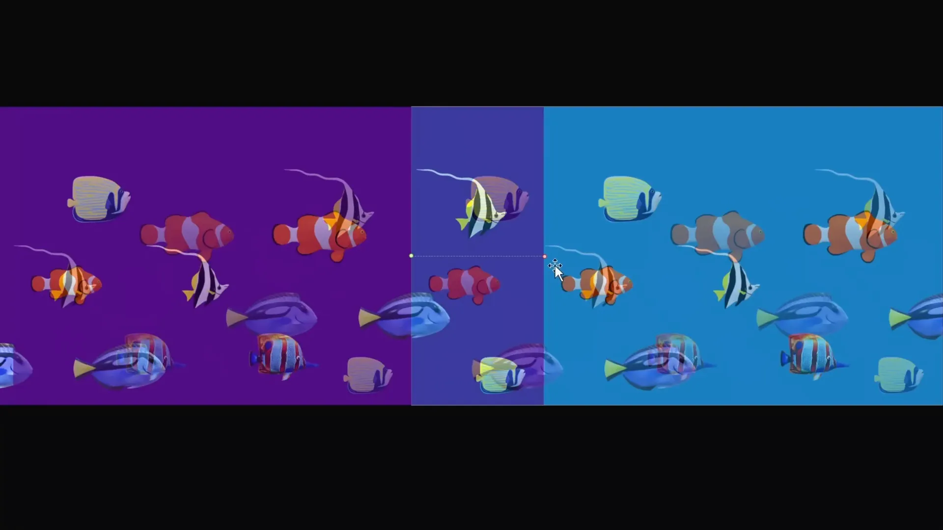 Grouped fishes for seamless loop animation