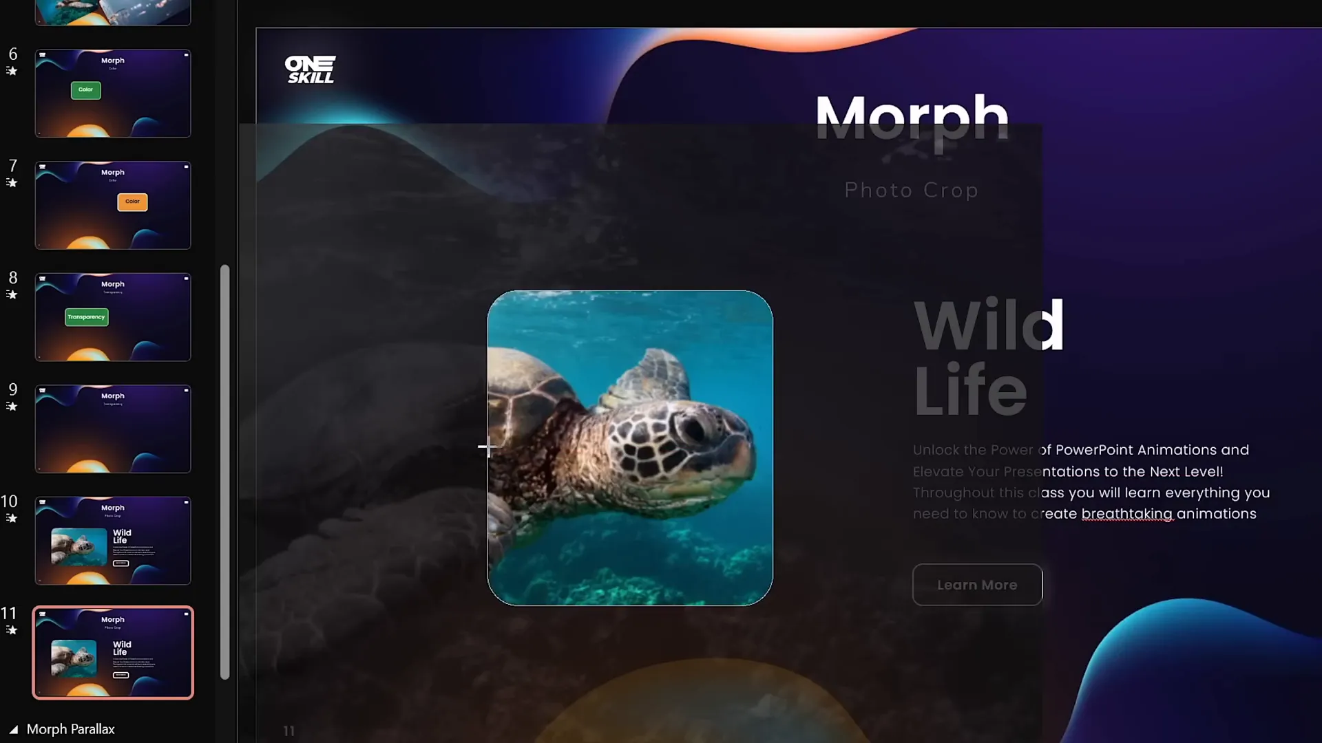 Photo crop effect with morph transition