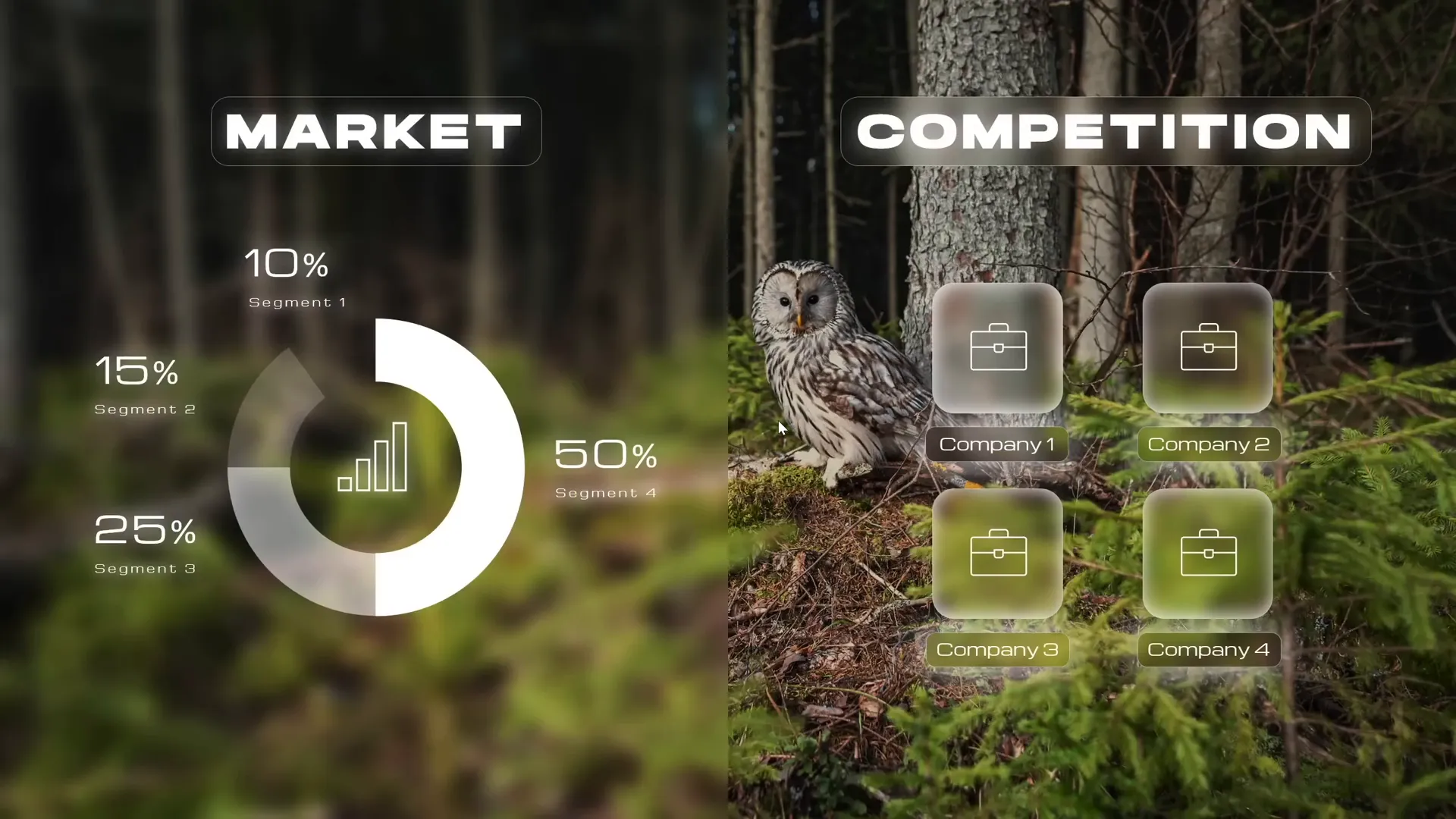 Section zoom hover animation with multiple slides covered by uncover transition