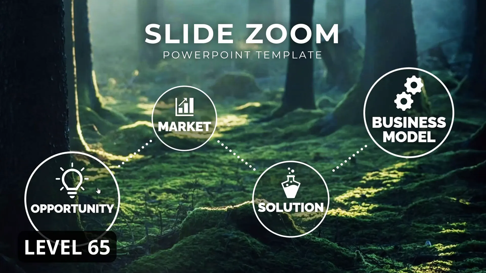 Level 65 Slide Zoom with precise animation timing