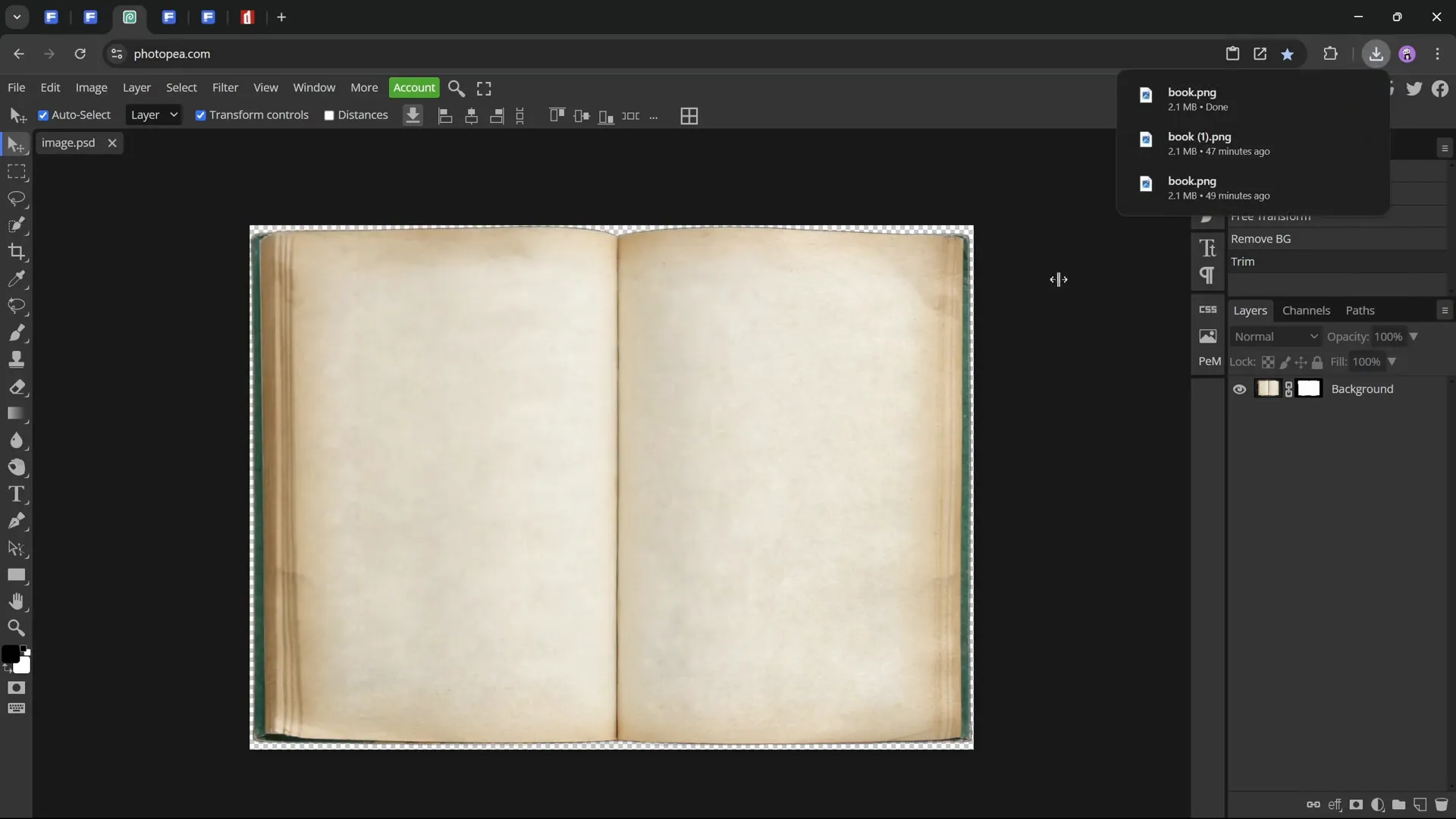 Exporting book image as PNG after background removal