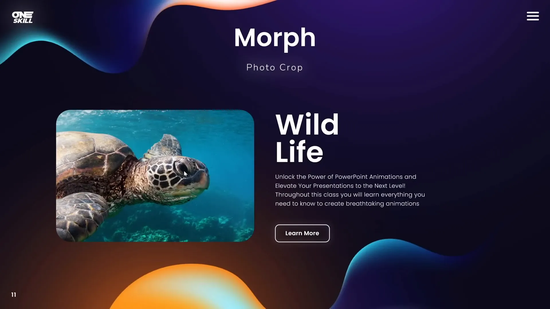 Photo zoom animation using morph transition