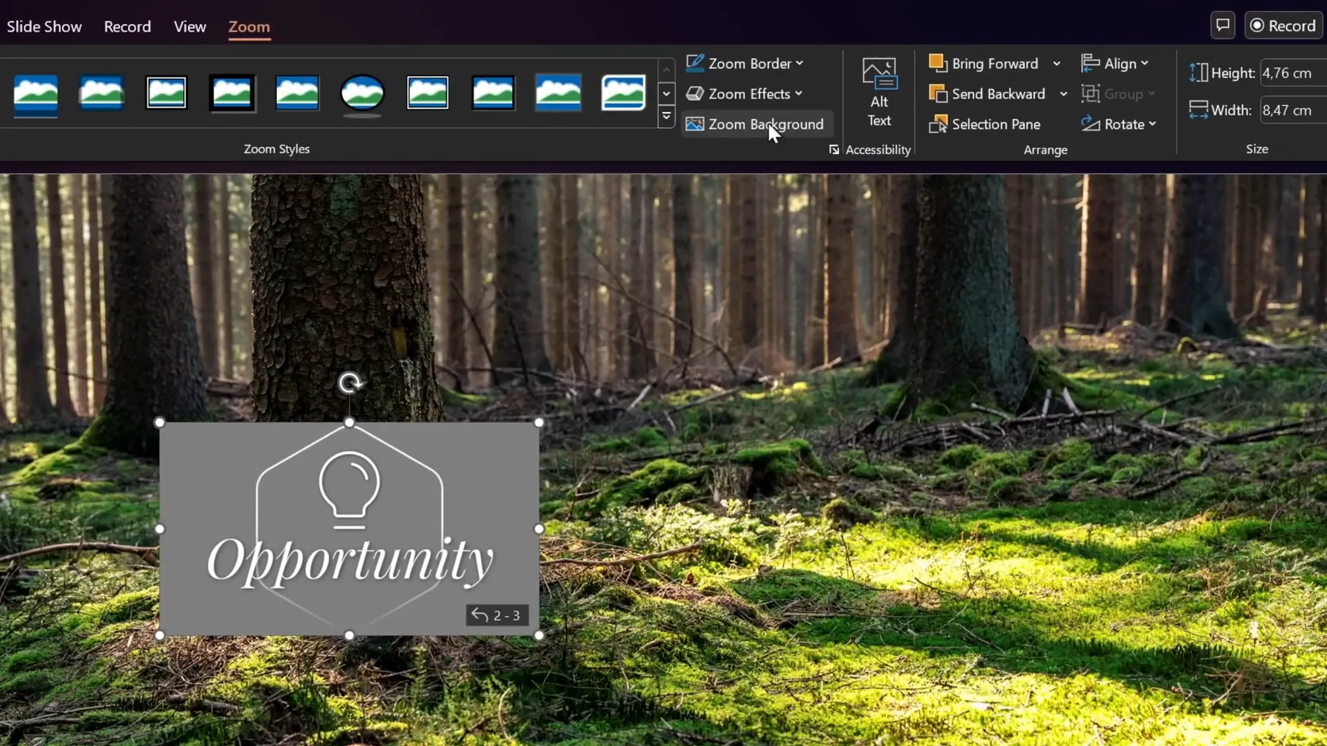 Inserting section zoom and making background transparent
