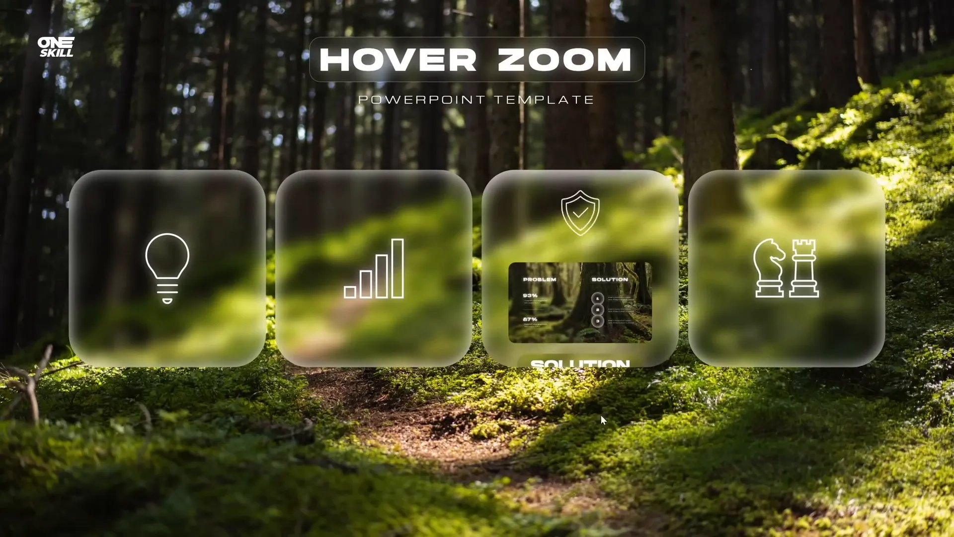 Section zoom navigating through multiple slides