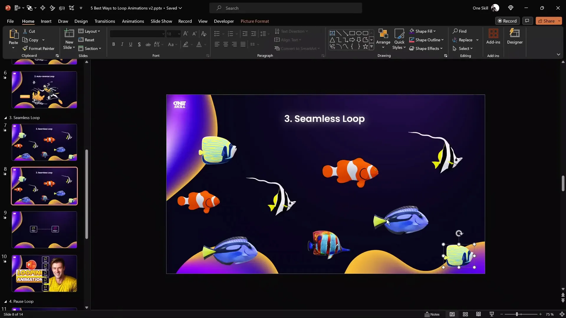 Grouped fishes with background rectangles for seamless loop