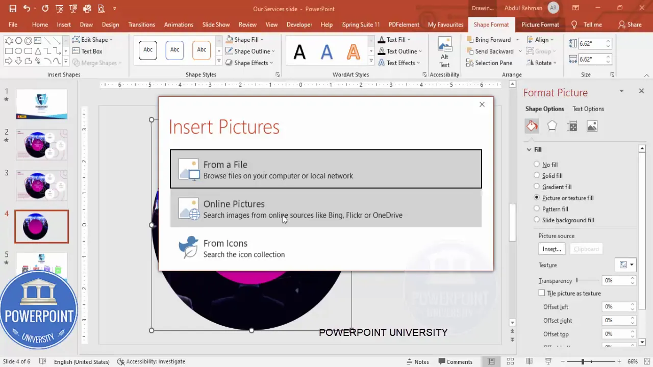 Insert image into oval using online pictures to set the central image