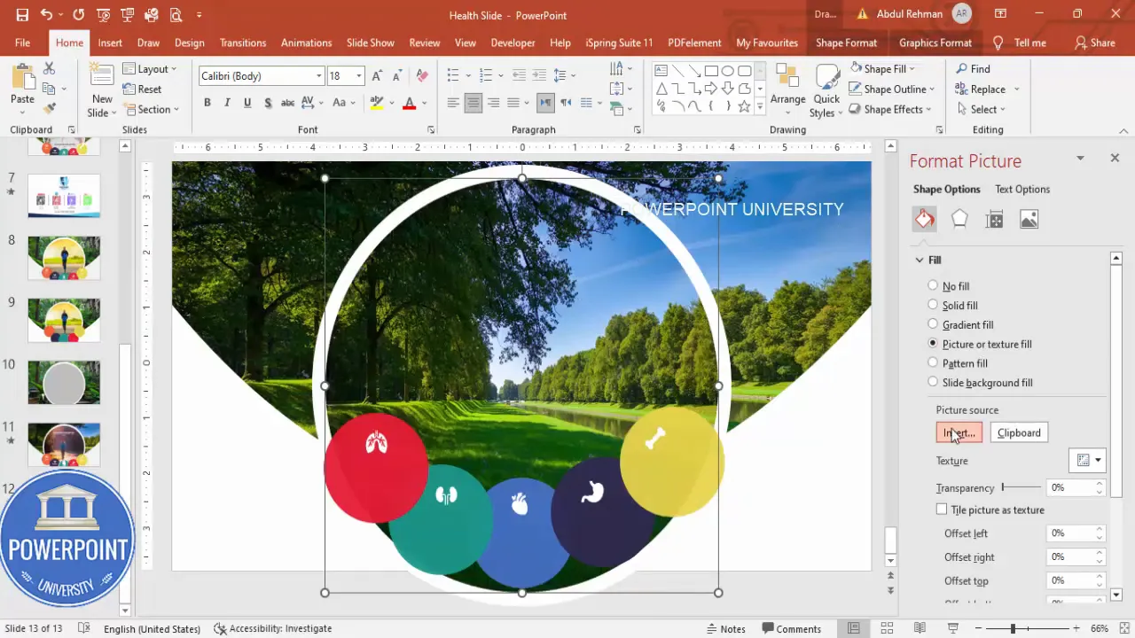 Fill large oval with an image using picture or texture fill and offset controls