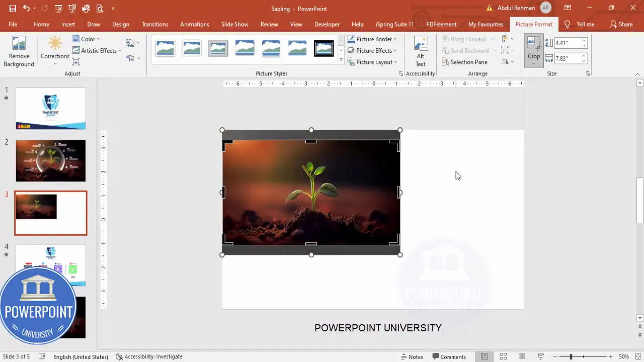Cropping the image to a 16:9 aspect ratio so it fits the slide cleanly